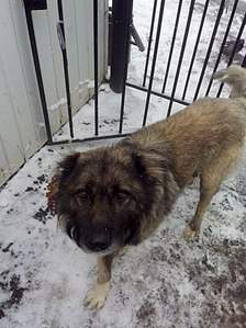 320 X 427  36.8 Kb ������! ����� ���������� ��� ���������� ��� ���!