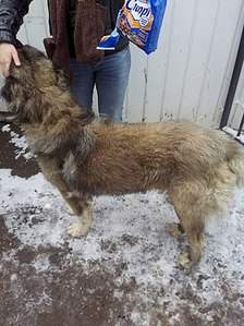 320 X 427  37.9 Kb 320 X 427  36.8 Kb ������! ����� ���������� ��� ���������� ��� ���!