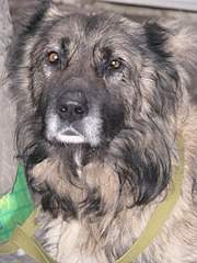 1920 X 2560 484.6 Kb 1920 X 2560 359.6 Kb  !  !