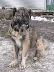 1920 X 2560 371.1 Kb 1920 X 2560 484.6 Kb 1920 X 2560 359.6 Kb  !  !