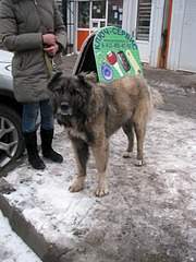 1920 X 2560 922.4 Kb 1920 X 2560 371.1 Kb 1920 X 2560 484.6 Kb 1920 X 2560 359.6 Kb  !  !