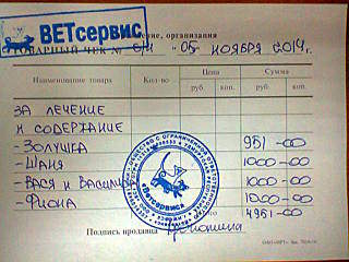 640 X 480 57.6 Kb Кошки в стационаре Ветсервиса. Нужна материальная помощь!