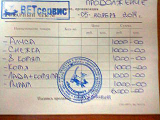 640 X 480 50.4 Kb Кошки в стационаре Ветсервиса. Нужна материальная помощь!