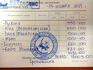 640 X 480 59.1 Kb Кошки в стационаре Ветсервиса. Нужна материальная помощь!