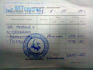 640 X 480 41.4 Kb Кошки в стационаре Ветсервиса. Нужна материальная помощь!