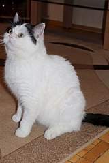 403 X 604  41.2 Kb 604 X 403  48.5 Kb 604 X 403  32.9 Kb     