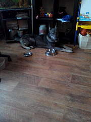 1920 X 2560 545.2 Kb  -   