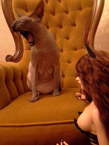 1920 X 2560 249.1 Kb 1920 X 2560 986.8 Kb       ?