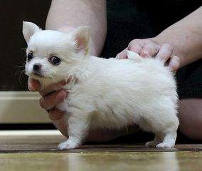 949 X 801 71.7 Kb 1920 X 1277 498.3 Kb   