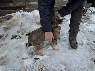 1920 X 1440 655.4 Kb SOS .   