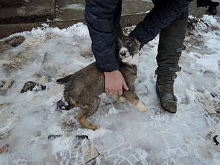 1920 X 1440 663.5 Kb 1920 X 1440 655.4 Kb SOS .   