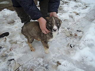 1920 X 1440 549.4 Kb 1920 X 1440 663.5 Kb 1920 X 1440 655.4 Kb SOS .   