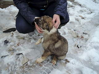 1920 X 1440 454.3 Kb 1920 X 1440 549.4 Kb 1920 X 1440 663.5 Kb 1920 X 1440 655.4 Kb SOS .   