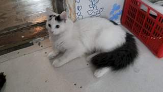 1920 X 1080 227.8 Kb   .    