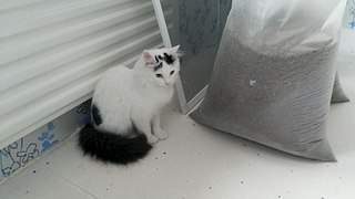 1920 X 1080 210.2 Kb 1920 X 1080 227.8 Kb   .    