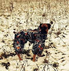 940 X 960 343.9 Kb 640 X 640 156.1 Kb     !