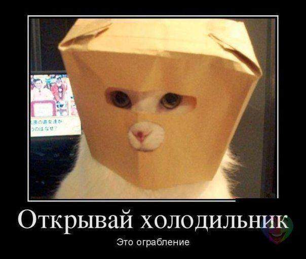604 x 511 Улыбнемся?