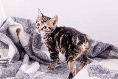 1800 X 1200 267.7 Kb 1800 X 1200 775.7 Kb    