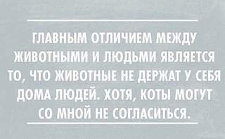 492 X 306 26.4 Kb Улыбнемся?