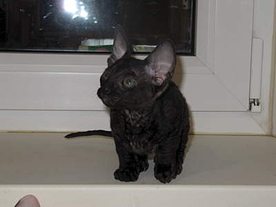 1920 X 1440 435.5 Kb 1920 X 1440 430.4 Kb  .