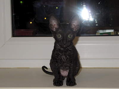 1920 X 1440 432.5 Kb 1920 X 1440 435.5 Kb 1920 X 1440 430.4 Kb  .