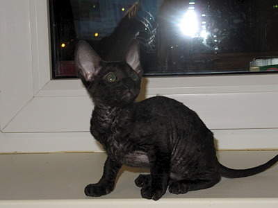 1920 X 1440 454.5 Kb 1920 X 1440 432.5 Kb 1920 X 1440 435.5 Kb 1920 X 1440 430.4 Kb  .