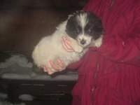 200 x 150 1280 X 960 173.3 Kb  -   