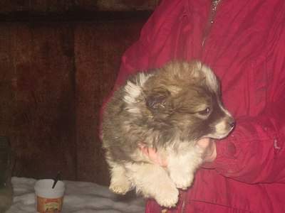 1280 X 960 173.3 Kb  -   