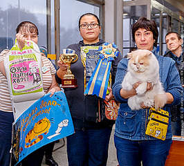 640 X 577 580.2 Kb Длинношерстные бриташки и компания! У нас есть котята!