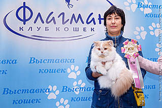 640 X 427 347.6 Kb 640 X 577 580.2 Kb Длинношерстные бриташки и компания! У нас есть котята!