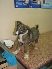 605 X 807 87.7 Kb 605 X 807 87.9 Kb SOS .   