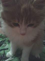 768 X 1024 58.8 Kb 768 X 1024 59.1 Kb 768 X 1024 64.4 Kb  