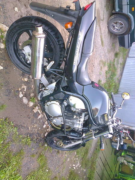 1536 X 2048 739.6 Kb 1536 X 2048 637.4 Kb ������ ������� 600