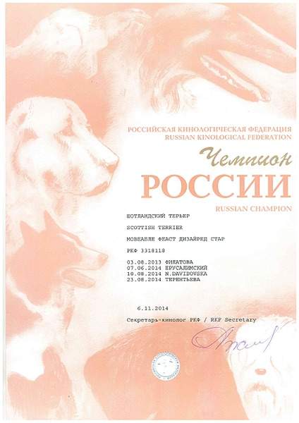 1920 X 2715 991.4 Kb 1920 X 2715 1003.0 Kb 1920 X 2715 459.3 Kb Шиншиллы Из Династии Чин-Чин и девчонки-скотчонки) есть шиншиллята