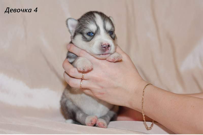 1280 X 853 91.3 Kb 1280 X 853 100.7 Kb 1280 X 853 100.1 Kb 1280 X 853 102.8 Kb 1280 X 989 238.4 Kb                 