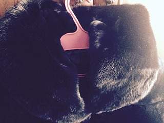 1920 X 1440 573.6 Kb 1920 X 2560 859.6 Kb 1920 X 2560 896.2 Kb 1920 X 2560 871.9 Kb  ,  ,   ....