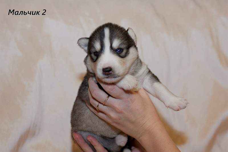 1280 X 853  99.7 Kb 1280 X 853 107.3 Kb                 