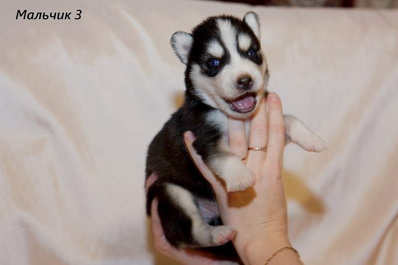 1280 X 853  99.4 Kb 1280 X 853  99.7 Kb 1280 X 853 107.3 Kb                 