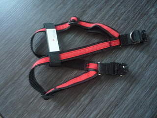 1920 X 1440 545.3 Kb     !