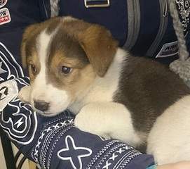 1920 X 1697 901.8 Kb  -    .  4   