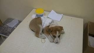 1920 X 1080 383.2 Kb 1920 X 1080 398.8 Kb  -    .  4   