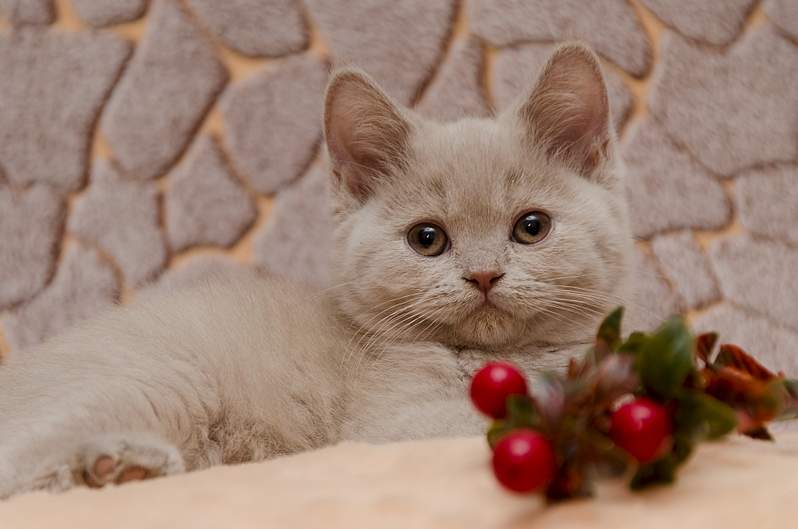 1920 X 1271 114.2 Kb 1920 X 1323 162.8 Kb  !  'L'