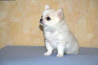 960 X 641  49.4 Kb 960 X 641  50.3 Kb 960 X 703 142.9 Kb   