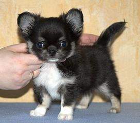 960 X 846  96.2 Kb 960 X 641  49.4 Kb 960 X 641  50.3 Kb 960 X 703 142.9 Kb   