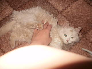 1920 X 1440 157.4 Kb     