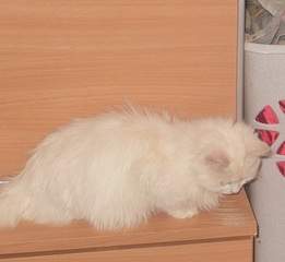 1920 X 1761 590.7 Kb 1920 X 1440 157.4 Kb     