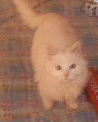 1865 X 2321 639.4 Kb 1809 X 2065 704.6 Kb 1920 X 1761 590.7 Kb 1920 X 1440 157.4 Kb     