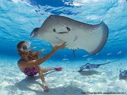 259 x 194 Распродажа туров! от Караван Путешествий.