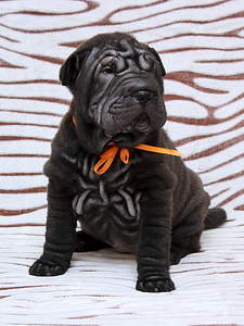 1619 X 2158 260.1 Kb 1920 X 1280 188.0 Kb    