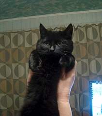 1920 X 2181 174.1 Kb 1904 X 1551 111.7 Kb     